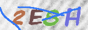 Image Anti-spam